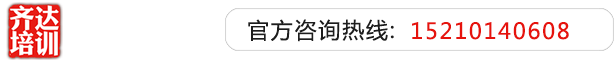 操你大肥逼齐达艺考文化课-艺术生文化课,艺术类文化课,艺考生文化课logo